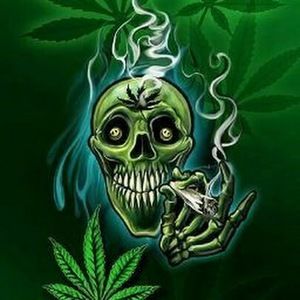 Meet your Posher, Blaze